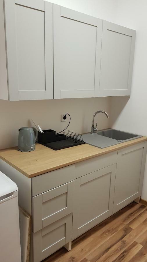 Apartament Nr 15 - 2 Pokoje Z Prywatnymi Lazienkami Centrum Познан Екстериор снимка